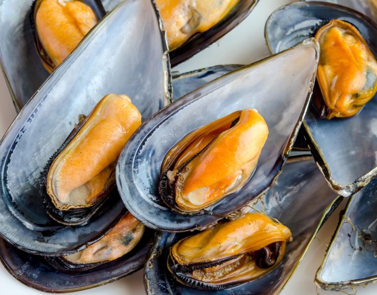 Calorie cozze