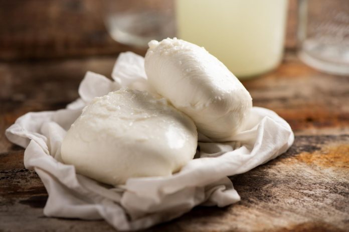 Valori nutrizionali mozzarella